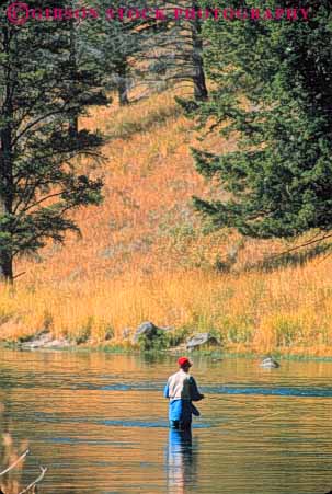 Stock Photo #10984: keywords -  activity alone calm fish fishing fly madison man men national outdoor outside park parks peaceful people public quiet recreation relax relaxed relaxing released river rivers solitary solitude sport sports stream usa vert wade wader wades wading water wyoming yellowstone