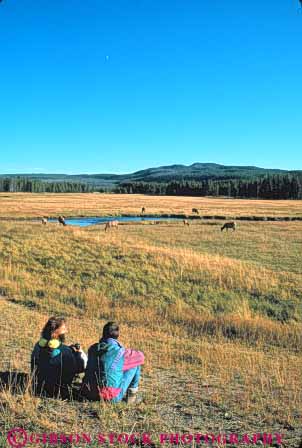 Stock Photo #10987: keywords -  activity calm couple elk herd in look looking man meadow meadows national observe observes observing outdoor outside park parks people public quiet recreation see seeing sit sits sitting usa vert watch watches watching wildlife woman wyoming yellowstone