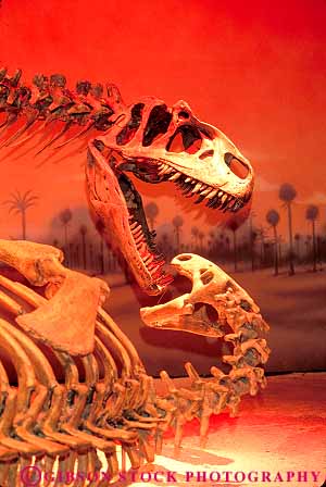 dinosaur bone replicas