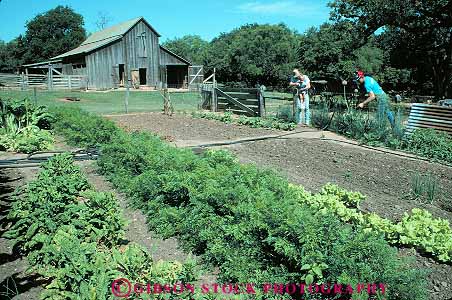 Stock Photo #13023: keywords -  baines crops farm farming farms historic home homes horz johnson lbj lyndon old plants president presidential ranch ranches row rows site sites style texas tradition traditional