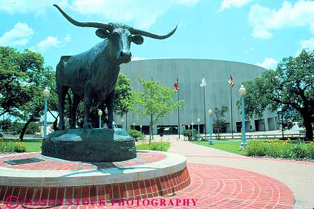 Stock Photo #11442: keywords -  animal animals austin campus campuses cattle college colleges horz longhorn mascot of statue steer texas universities university