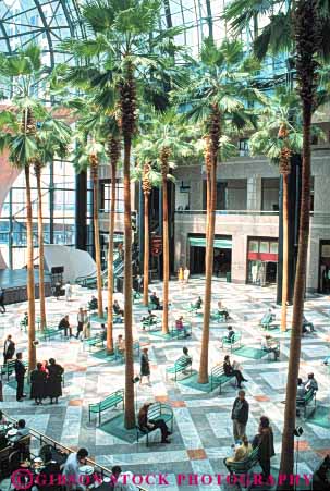 Stock Photo #9123: keywords -  atrium cafe cafes city dining elevate elevated enclosed garden lobby mall new palm plaza plazas tree vert view winter york