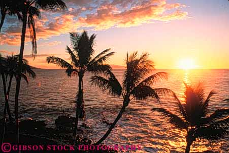 Stock Photo #8613: keywords -  beach beaches coast coastal destination golden hawaii hawaiian horz island islands marine maritime oahu ocean palm resort resorts sea seashore seawater shore shoreline silhouette silhouettes sun sunset sunsets surf travel trees tropical usa vacation water z