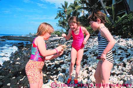 Stock Photo #8615: keywords - animal animals beach beaches children coast coastal crab crabs destination find girl girls handle hawaii hawaiian hold horz island islands look marine maritime oahu ocean released resort resorts sea seashore seawater see shore shoreline st surf travel tropical udy usa vacation water