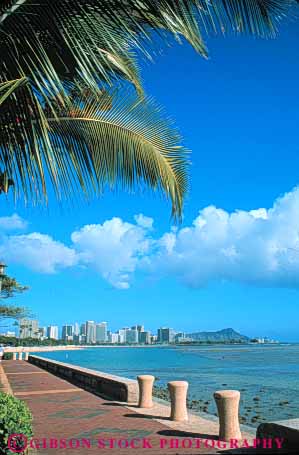 Stock Photo #8619: keywords -  beach beaches coast coastal destination hawaii hawaiian island islands landscape landscapes marine maritime oahu ocean resort resorts scenic sea seashore seawater shore shoreline surf travel tropical usa vacation vert waikiki water waterfront