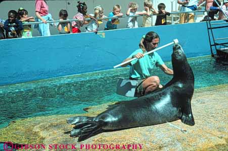 Stock Photo #8626: keywords - animal animals aquarium beach beaches captive captivity children coast coastal destination hawaii hawaiian horz island islands mammal marine maritime monk oahu ocean perform performance performing performs pinniped public resort resorts sea seal seals seashore seawater see shore shoreline show surf teach teacher teaches teaching train trainer travel tropical usa vacation waikiki watch water