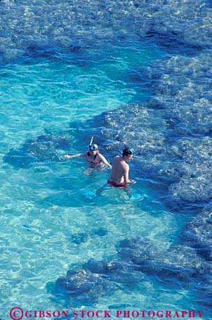 Stock Photo #8631: keywords - aerial aerials bay beach beaches coast coastal coral couple destination elevated hanauma hawaii hawaiian island islands marine maritime oahu ocean overhead pair preserve reserve resort resorts sea seashore seawater shore shoreline snorkel snorkeling sport sports surf swim swimmers swimming travel tropical two usa vacation vert view water wildlife