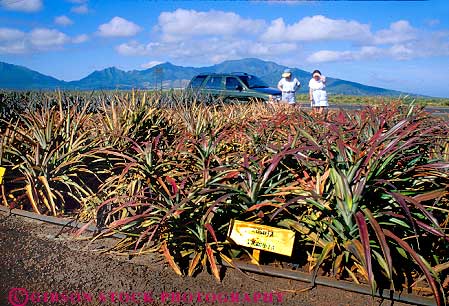 Stock Photo #8633: keywords -  building buildings destination forest green hawaii hawaiian home homes horz house houses in island islands isolated lush oahu plant plants rainforest residence resort resorts solitary solitude travel tropical usa vacation vegetation verdant