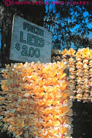 Stock Photo #8637: keywords -  big business destination flower flowers hawaii hawaiian island islands lei leis necklace necklaces resort resorts roadside sales sell selling small tradition traditional travel tropical usa vacation vert