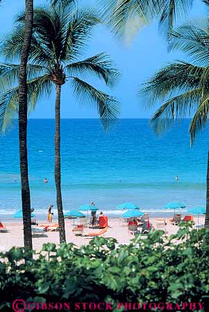 Stock Photo #13141: keywords -  bay beach beaches big coast coastal destination hawaii hawaiian island islands lani leisure mauna ocean outdoor outside palm people play playing recreation resort resorts sea shore shoreline sport travel tree trees umbrellas vacation vert water