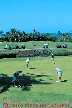 Stock Photo #13142: keywords - big brown course destination francis game golf golfer golfers golfing hawaii hawaiian island islands lawn leisure men outdoor outside play playing recreation resort resorts sport travel vacation vert