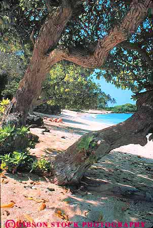 Stock Photo #13160: keywords -  beach beaches big clean coast coastal environment habitat hawaii hawaiian island islands kailua kona natural nature ocean open park people pristine recreation sand sea sediment sport state surf tropical vacation vert water