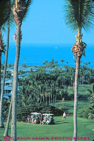 Stock Photo #13163: keywords -  big cart carts club coast country course game golf golfer golfers golfing hawaii hawaiian island islands kailua kona recreation sport tropical vacation vert