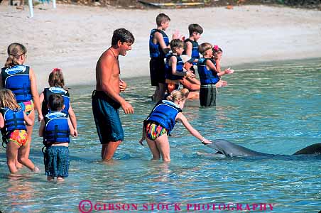 Stock Photo #13191: keywords -  big captive captivity children destination dolphin dolphins hawaii hawaiian hilton horz hotel hotels island islands leisure mammal mammals marine modern new play playing resort resorts swim swimming travel tropical vacation vacations waikoloa with