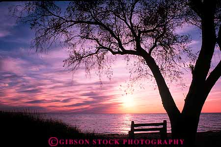Stock Photo #13224: keywords - bear bench dark dunes dusk evening great horz lake lakes lakeshore landscape michigan midwest national park parks pink purple region scenery scenic silhouette silhouettes sleeping sun sunset sunsets tree water