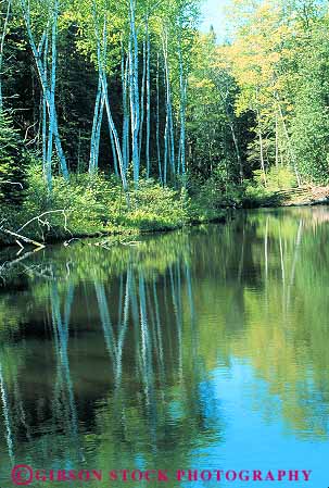 Stock Photo #13234: keywords -  and birch calm city great green lakes mackinaw michigan midwest nature peaceful pond ponds quiet reflect reflecting reflection reflects region serene still tree trees vert water wild wilderness