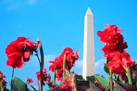 Stock Photo #8727: keywords -  attrac canna capitol columbia dc district flower flowers focus granite horz monument monuments national obelisk of point pointed rock shape soft stone tall tion tourist tower usa washington
