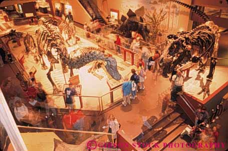 Stock Photo #8756: keywords - animal attraction columbia dc dinosaur dinosaurs display district earth etons exhibit exhibits fossil fossilized fossils geologic geological geology history horz museum museums national natural nature of old paleontology prehistoric present science skel skeleton smithsonian specimen tourist us usa washington