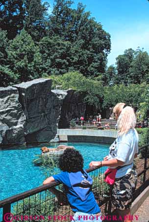 Stock Photo #8784: keywords -  aquatic attraction columbia dc destination display district lion lions museums national of people public sea tourist travel vert washington watch zoo