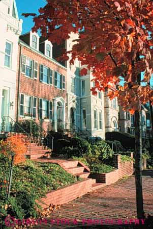 Stock Photo #8808: keywords -  area attraction autumn building buildings columbia community dc destination district fall georgetown home homes house houses neighborhood neighborhoods of public residential row rows season street tourist town travel vert washington