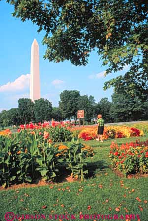 Stock Photo #8847: keywords -  annual annuals behind botanical capitol columbia dc destination district floral garden gardens library monument national of travel usa vert washington