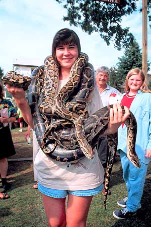 Stock Photo #18159: keywords - activities activity animal animals annual big colorful embrace embraced embracing event events exhibit fair fairs festival festivals fun girl girls hold holding holds in large maryland people person play python pythons recreation reptile reptiles snake snakes state summer tame teen teenager timonium touch touches touching two vert wildlife with woman youth