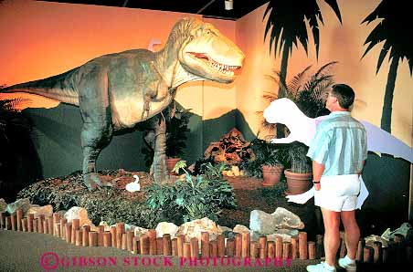 Stock Photo #18141: keywords - baltimore center dinosaur dinosaurs display displaying displays exhbitis exhibit exhibits history horz in looking man maryland musems museum museums natural people person science