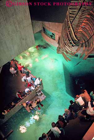 Stock Photo #12430: keywords -  aquarium aquariums attraction baltimore down inside interior maryland national people pool public tourist vert view water