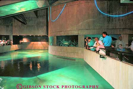 Stock Photo #18150: keywords -  aquarium aquariums baltimore display displays horz inside interior maryland national people person public tank tanks view viewing water