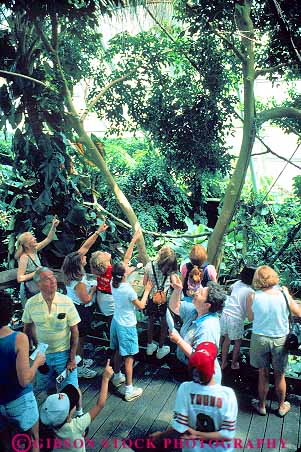 Stock Photo #18152: keywords - aquarium aquariums artificial baltimore birds conservatory display displays exhibit greenhouse in inside interior made man maryland national people person public rainforest rainforests vert viewing
