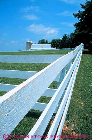 Stock Photo #12794: keywords -  board boards farm farms fence fences horse landscape landscapes line liner lines maryland orchard pattern quince ranch ranches scenery scenic vert white wood wooden
