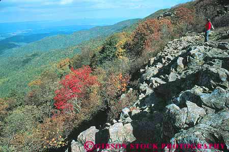 Stock Photo #13293: keywords -  appalachian forest forests hill hills horz landscape looking looks mountain mountains national out over park parks people person public scenery scenic shenandoah valley view virginia woman wooded