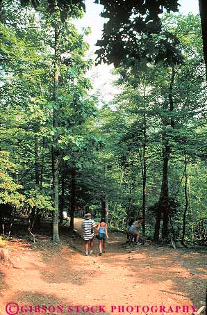 Stock Photo #13297: keywords - appalachian dark falls forest forests hike hiker hikers hikes hiking hill hills hollow landscape mountain mountains national park parks people public scenery scenic shenandoah summer trail trails tree trees vert virginia walk walker walkers walking wooded woods