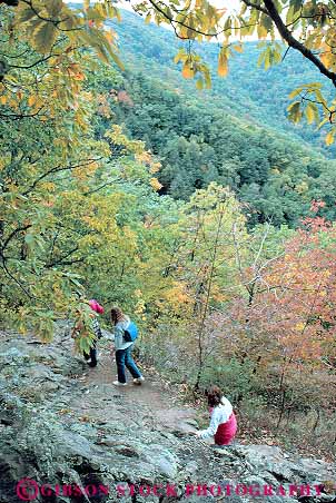 Stock Photo #13299: keywords -  appalachian autumn color fall foliage forest forests hike hiker hikers hikes hiking hill hills landscape mountain mountains national park parks people public scenery scenic shenandoah vert virginia walk walking walks wooded