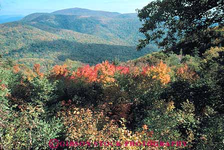 Stock Photo #13300: keywords -  appalachian autumn color fall foliage forest forests hill hills horz landscape mountain mountains national park parks public scenery scenic season shenandoah virginia wooded