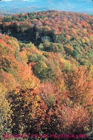 Stock Photo #13306: keywords -  autumn blue color countryside deciduous fall foliage forest hardwood highway highways landscape orange overview park parks parkway parkways ridge rural scenery scenic season vert virginia