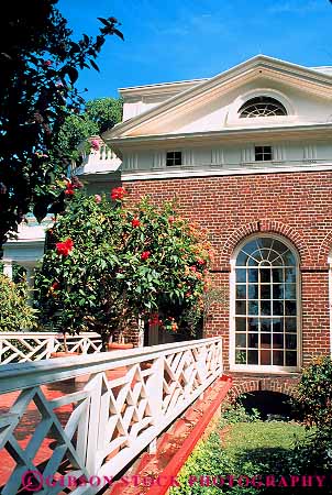 Stock Photo #13318: keywords - american colonial early flower flowers garden gardens hibiscus historic history home homes jefferson mansion mansions monticello plant plants thomas tradition traditional vert virginia