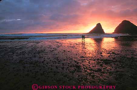 Stock Photo #13386: keywords -  alone beach beaches bright coast coastal coastline coasts couple couples dark devils dusk elbow evening horz landscape ocean orange oregon outdoor outside park privacy private romantic scenery scenic sea shore shoreline shores solitary solitude state stroll stroller strollers strolling sunset sunsets walk walkers walking walks water yellow