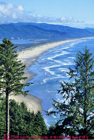 Stock Photo #13887: keywords -  bay beach beaches coast coastal coasts cove coves elevate elevated hill hills landscape nehelem northwest ocean oregon overview region scenery scenic sea seascape seashore shore shoreline surf tree trees vert view views water
