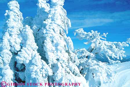 Stock Photo #13394: keywords -  after arctic bachelor blizzard climate cold desolate desolation freeze freezing froze frozen horz landscape landscapes mount natural nature northwest oregon scenery scenic scenics season snow trees weather white wild wilderness winter