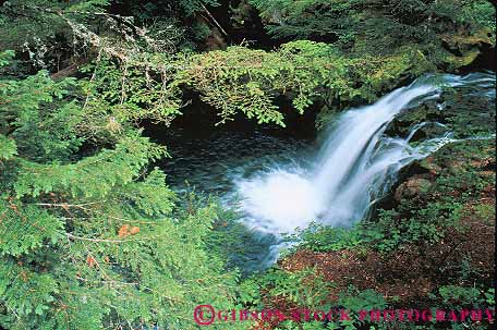 Stock Photo #13395: keywords - conifer coniferous creek dense fall falls forest forests horz landscape landscapes lush natural nature northwest oregon rain rainforest river scenery scenic scenics stream temperate verdant waterfall waterfalls whitehorse wild wilderness