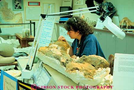 Stock Photo #11249: keywords - and bone bones cleaning cleans delicate detail dinosaur dinosaurs female fossil fossils horz industry laboratories laboratory museum museums of oregon paleontologist paleontologists paleontology portland precise prehistoric research researcher researching science scientist scientists skill tricerotops woman women