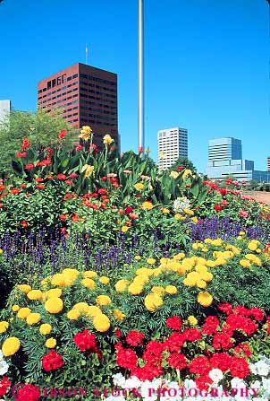Stock Photo #11254: keywords -  blossom blossoming blossoms building buildings canna cities city cityscape cityscapes color colorful downtown flower flowering flowers garden gardens marigold oregon petunia plant plants portland skyline skylines spring summer urban vert