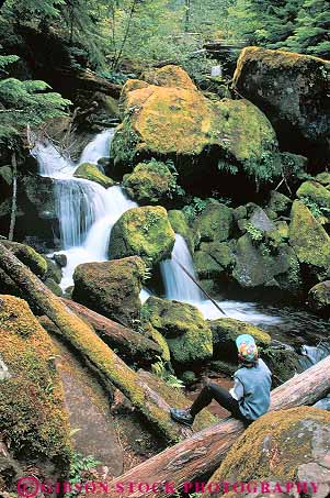 Stock Photo #13417: keywords -  conifer coniferous conifers creek fall falls forests landscape landscapes natural nature near northwest oregon rainforest released river scenery scenic scenics stream summer temperate tree trees tributary umpqua vert water waterfall waterfalls watson woman