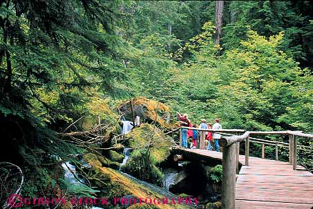 Stock Photo #13420: keywords - bridge conifer coniferous conifers creek fall falls forests group groups hike hiker hikers hikes hiking horz landscape landscapes natural nature near northwest oregon path people rainforest released river scenery scenic scenics stream summer temperate tree trees tributary umpqua walkway water waterfall waterfalls watson wood wooden