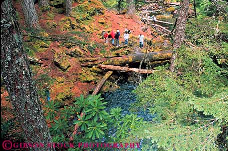 Stock Photo #13422: keywords - conifer coniferous conifers creek fall falls forests group groups hike hiker hikers hikes hiking horz landscape landscapes natural nature near northwest oregon people rainforest released river scenery scenic scenics stream summer temperate tree trees tributary umpqua water waterfall waterfalls whitehorse