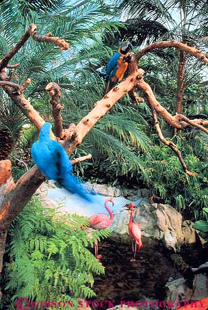 Stock Photo #13437: keywords -  and attraction bird birds british canada captive captivity columbia conservatories conservatory crystal destination flamingos gardenvictoria greenhouse greenhouses in northwest parrots tourist travel tropical vert