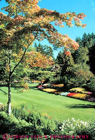 Stock Photo #13457: keywords - attraction botanic botanical british buchart butchart canada columbia cultivated cultivation garden gardens green landscaping lawn lush northwest plant plants public spring summer tourist verdant vert victoria