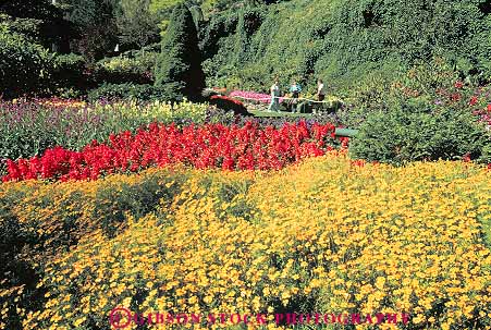 Stock Photo #13461: keywords -  attraction botanic botanical british buchart butchart canada columbia cultivated cultivation garden gardens green horz landscaping northwest people plant plants public spring stroll strolling summer tour touring tourist victoria walk walking