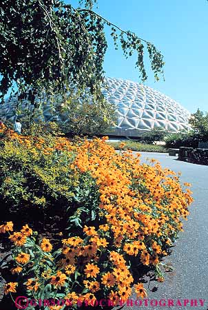 Stock Photo #12068: keywords -  black bloedel botanical british canada columbia conservatories conservatory dome domes eyed flower flowers garden gardens susan vancouver vert